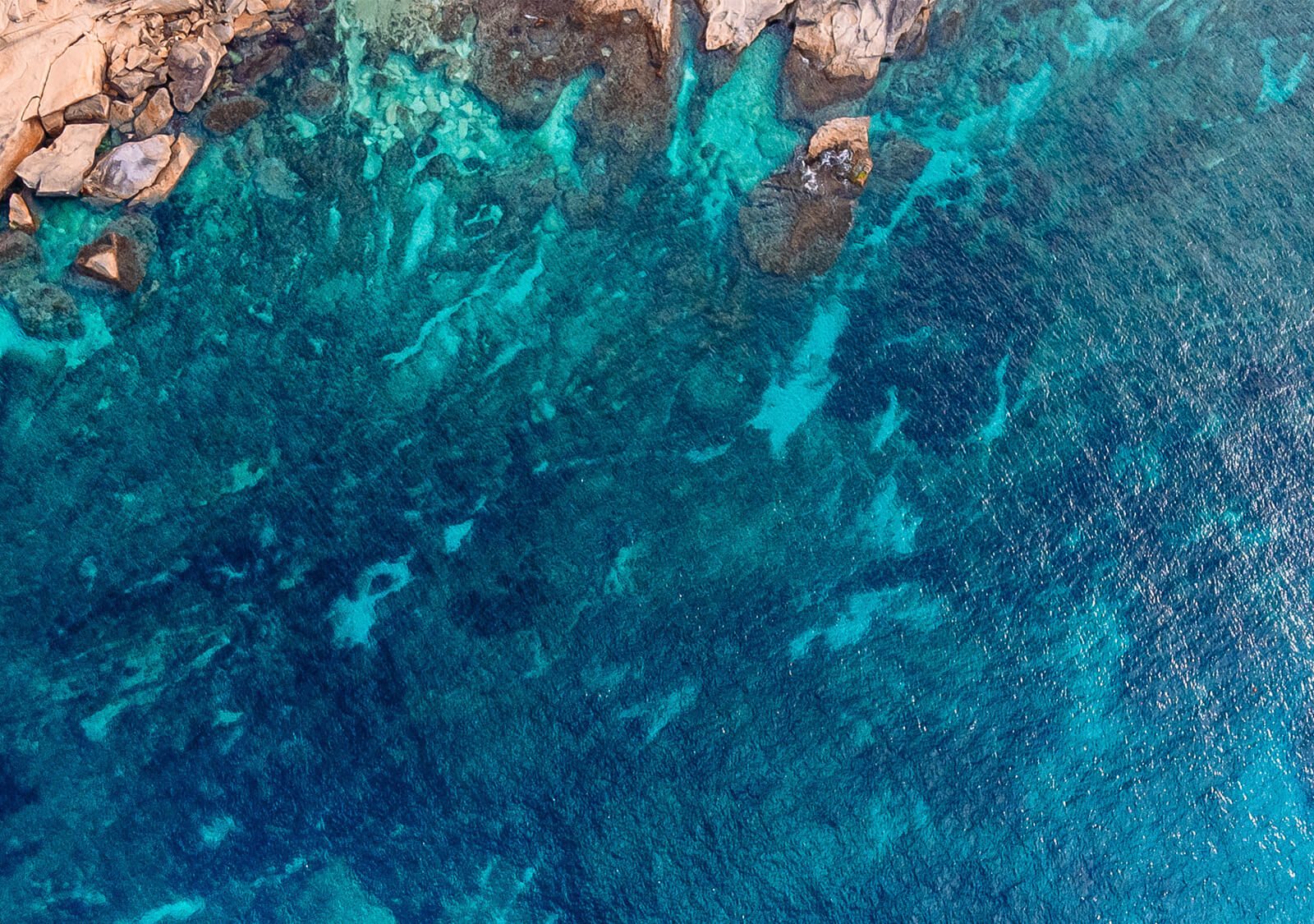 Innovation to enhance knowledge
and the protection of life 
