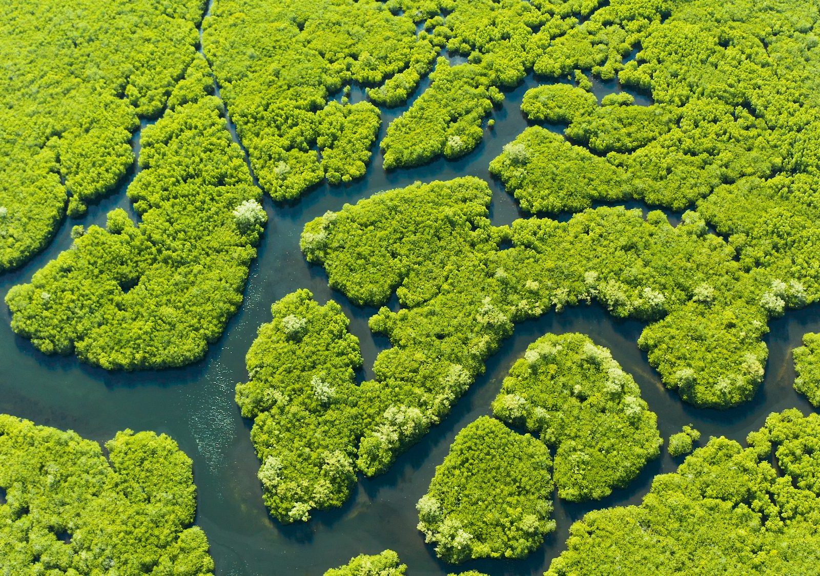 Innovation to enhance knowledge
and the protection of life
