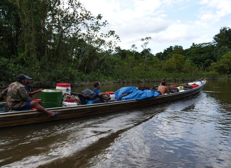 Pirogue progression