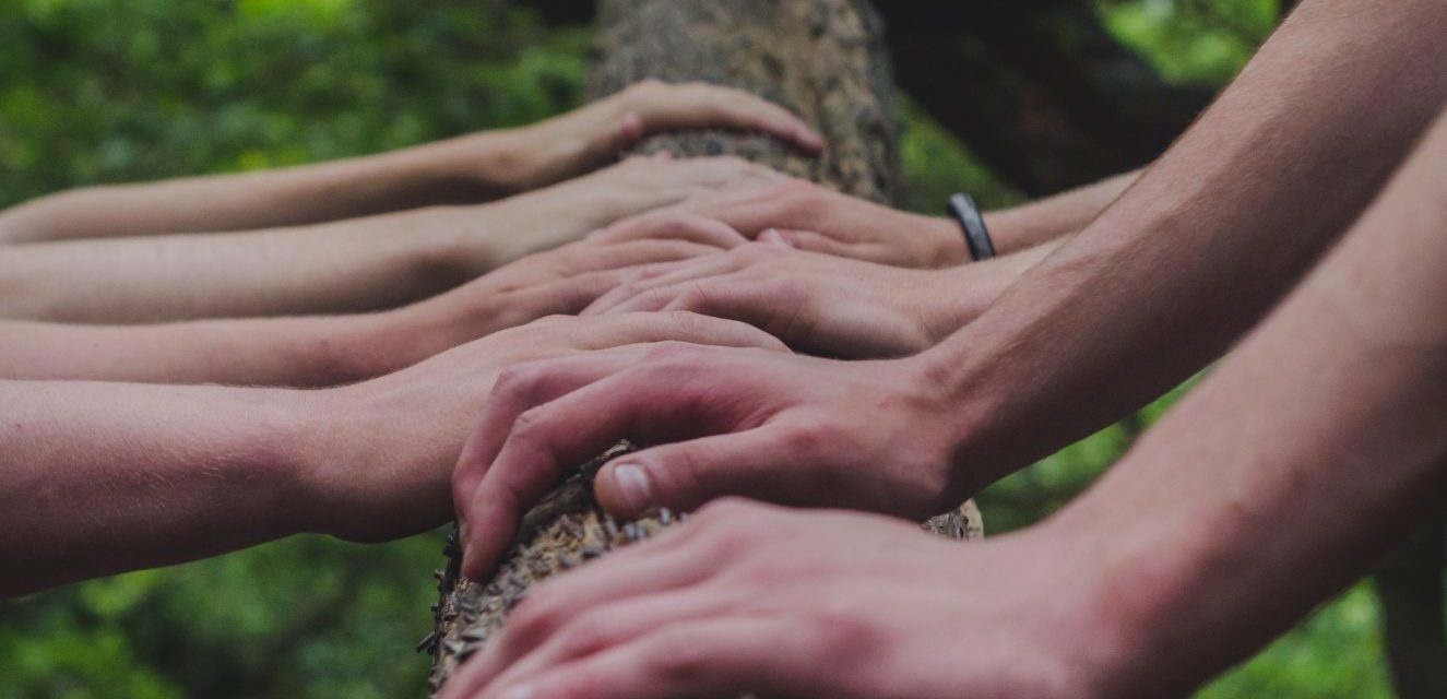 Ensemble, 
préservons la biodiversité