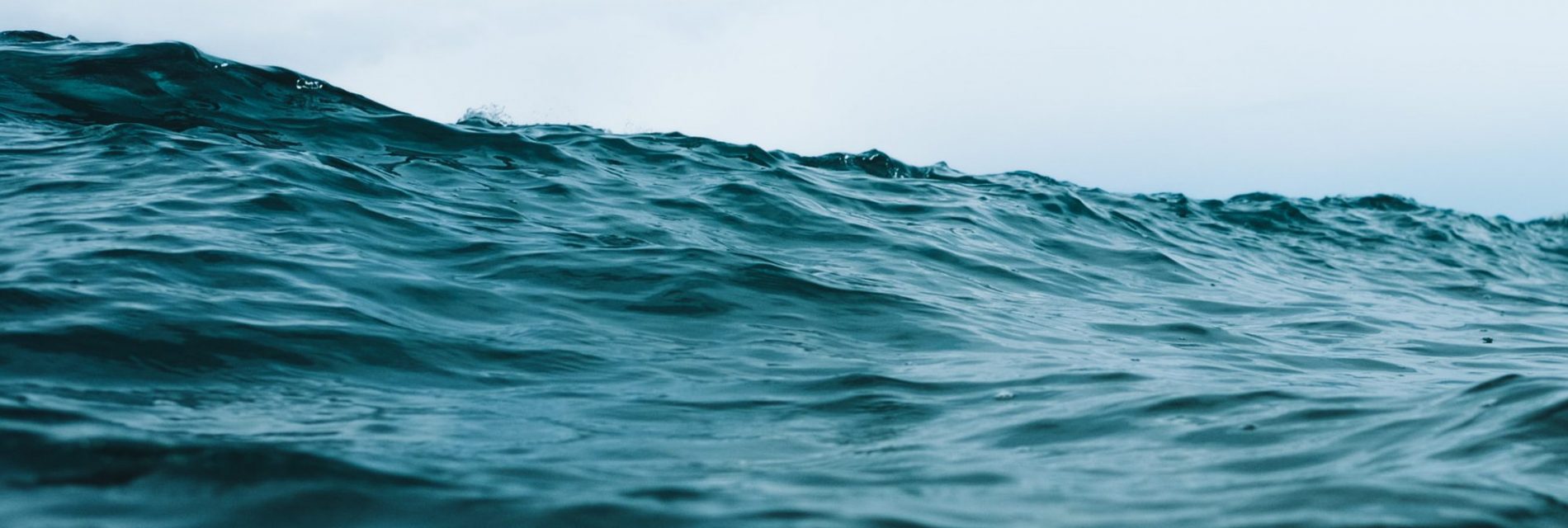 Politique de confidentialité